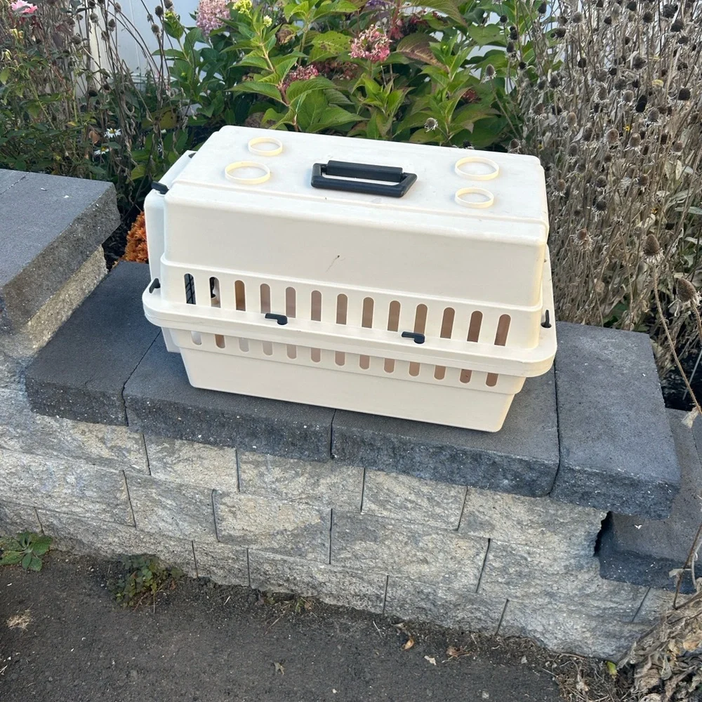 Cream Hard Sided Pet Carrier
